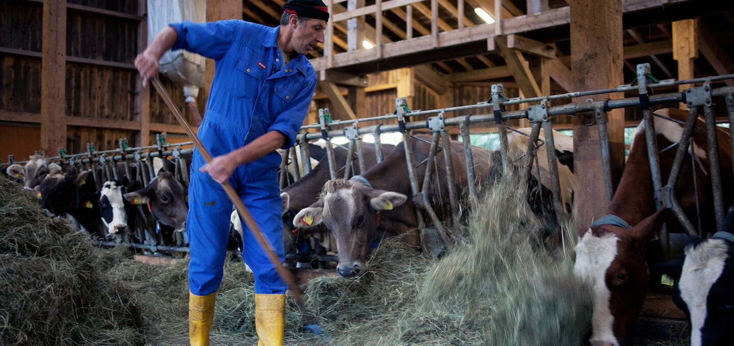 Hubert1, Vorarlberg Milch