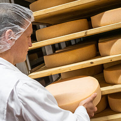 Käsepflege, Vorarlberg Milch